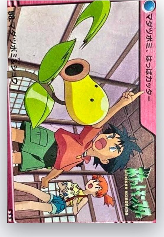 58 マダツボミ&ショウ