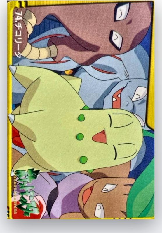74 チコリータ