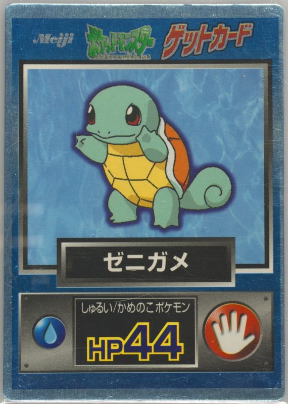 7 ゼニガメ