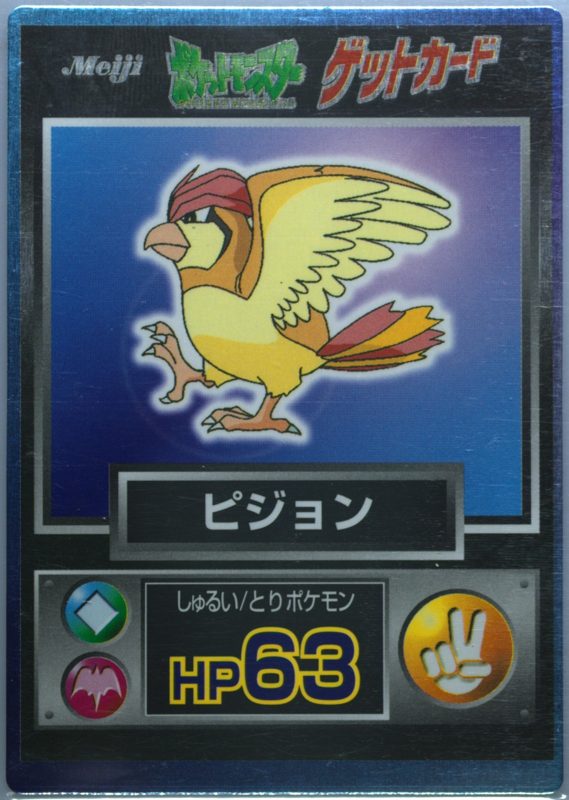 17 ピジョン