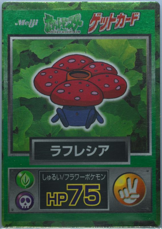 45 ラフレシア