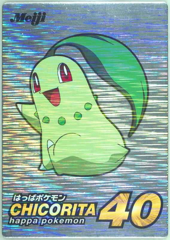 4 チコリータ