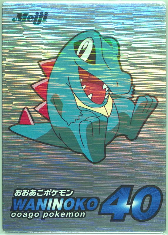 6 ワニノコ