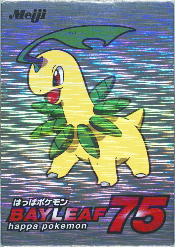 7 ベイリーフ