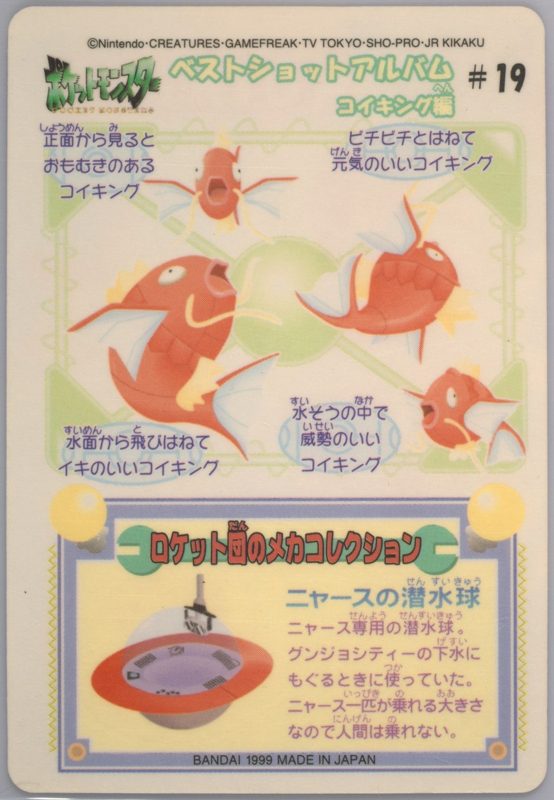 19 コイキング 裏