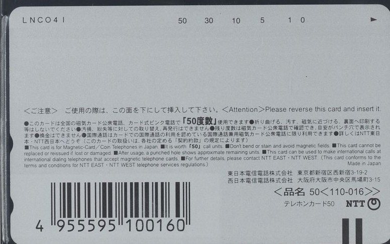 色違いのリザードンとの出会い 裏