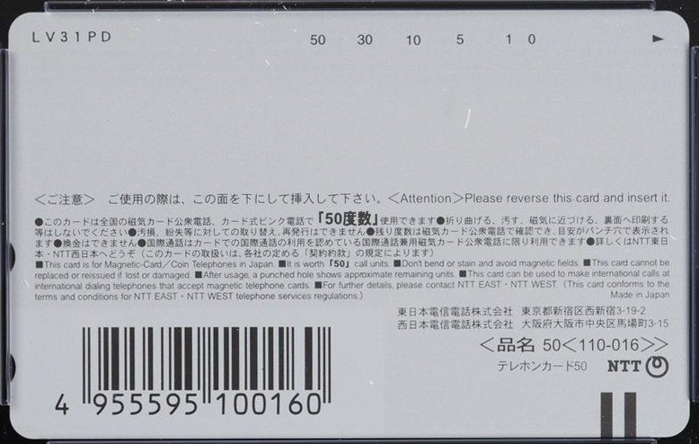 ロックマンエグゼ 裏