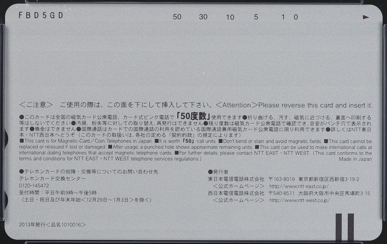 ソードアート・オンラインII シノン 裏